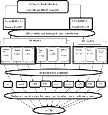 Effects of sex, toilet training, stress, and caffeine on nocturnal enuresis among school children in Gondar Town, the metropolitan city of Ethiopia: a community-based study in 2023